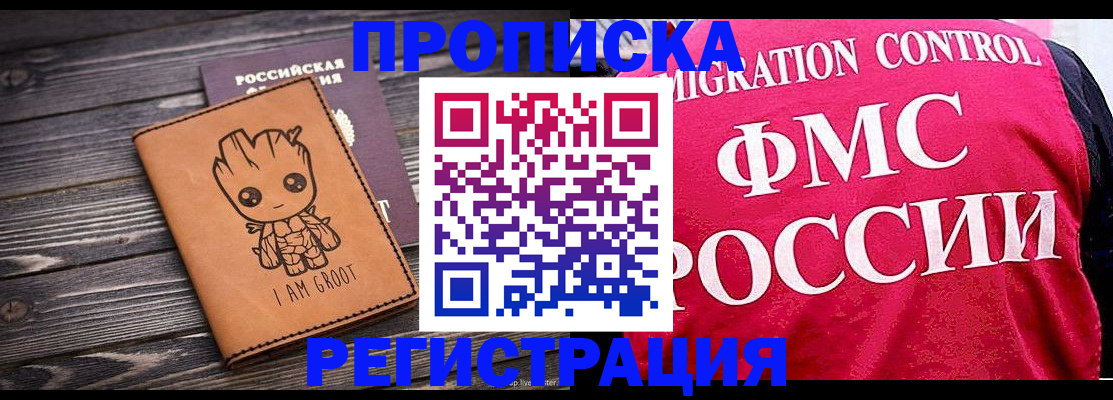 прописка 2025 в Почепе